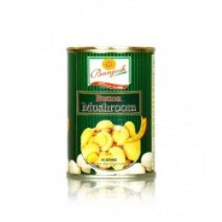 BANJOSH BUTTON MUSHROOM 800 GM